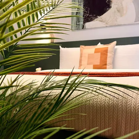 Premium Near Radisson - Modern & Stylish شقة *
