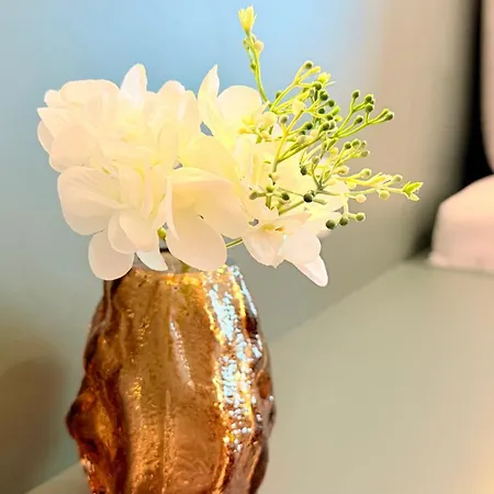 Premium Near Radisson - Modern & Stylish