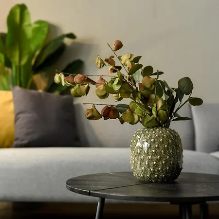 Premium Near Radisson - Modern & Stylish *
